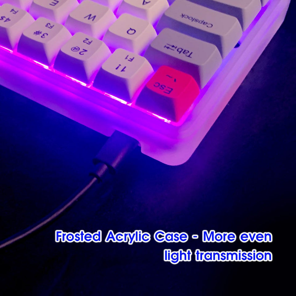 Frosted Acrylic Shell 60 Wired Mechanical Keyboard Switch Keyboard